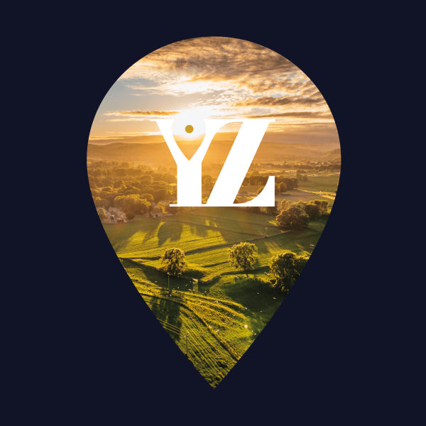 YZ_Pin